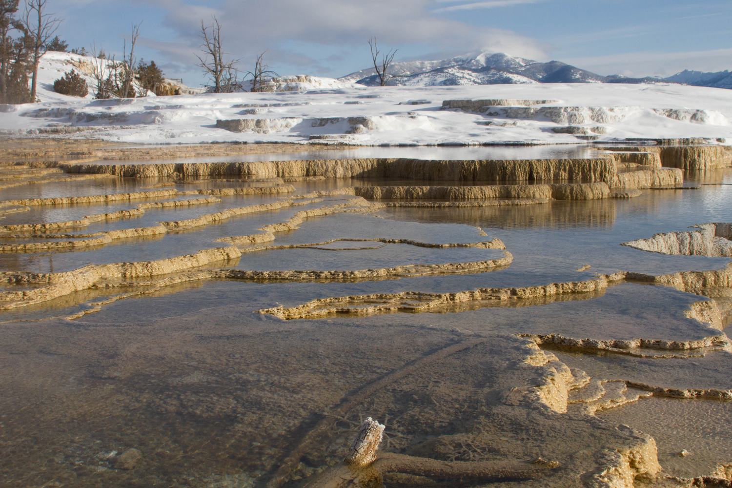 Snow dusted travertine terraces at Mammoth Hot Springs with mountains behind.