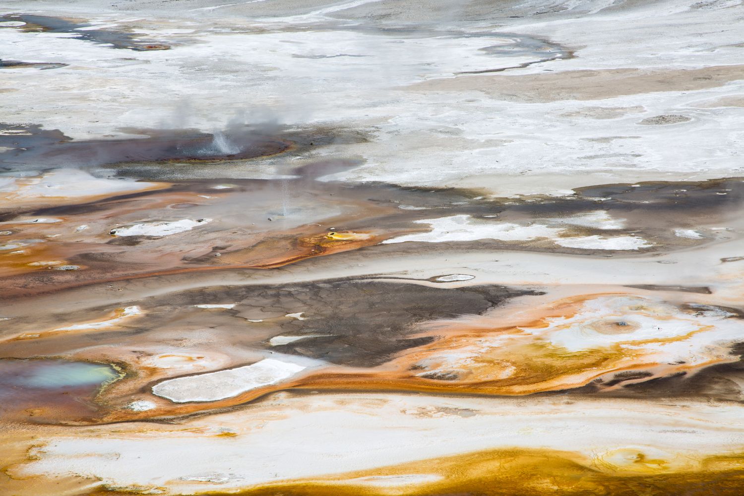 Orange and rust coloured runoff channels crossing the pale crust of the Norris Geyser Basin.