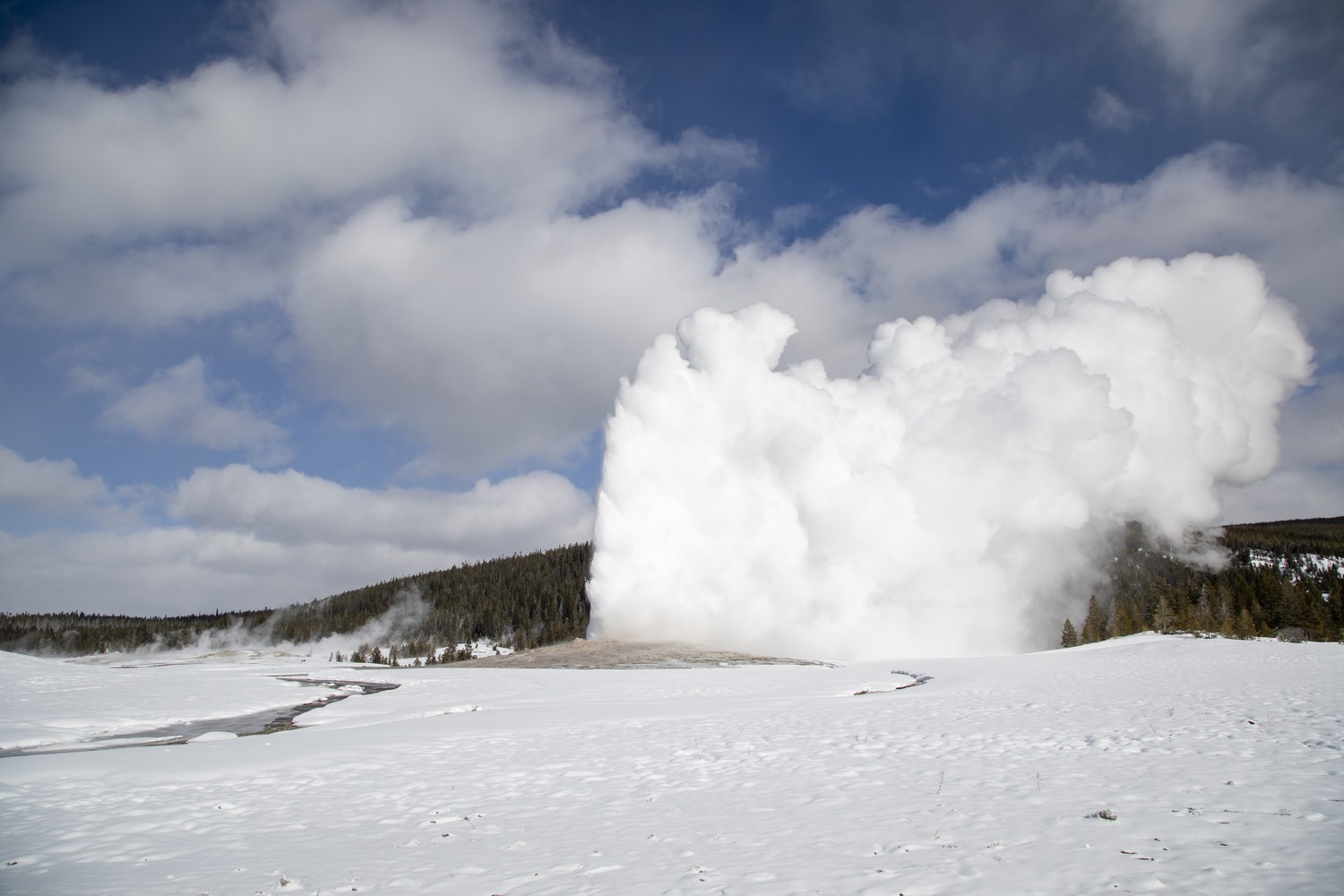 Old Faithful erupting in a white column over a snow covered basin under a clear winter sky.